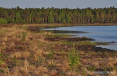 Partnerski Powiat - Powiat Lęborski