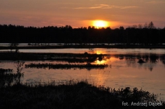 Partnerski Powiat - Powiat Lęborski
