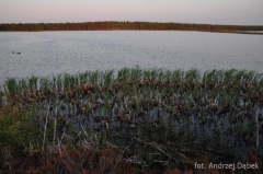 Partnerski Powiat - Powiat Lęborski