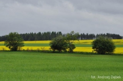 Partnerski Powiat - Powiat Lęborski