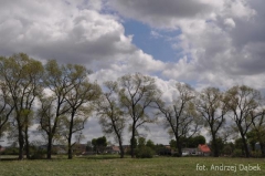 Partnerski Powiat - Powiat Lęborski