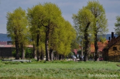 Partnerski Powiat - Powiat Lęborski