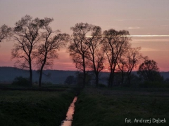 Partnerski Powiat - Powiat Lęborski