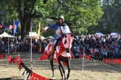 Turniej Rycerski na Zamku w Dębnie - 23 września 2012