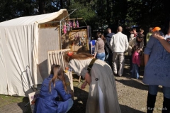 Turniej Rycerski na Zamku w Dębnie - 23 września 2012