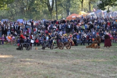 Turniej Rycerski na Zamku w Dębnie - 23 września 2012