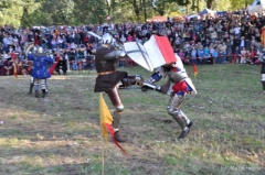 Turniej Rycerski na Zamku w Dębnie - 23 września 2012