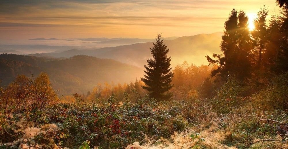 Małopolska Gościnna - nabór twa