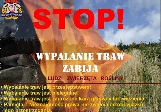 WYPALANIE TRAW ZABIJA LUDZI, ZWIERZĘTA, ŚRODOWISKO