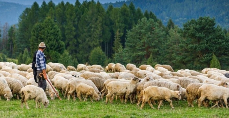 Małopolski wypas kulturowy po raz piąty