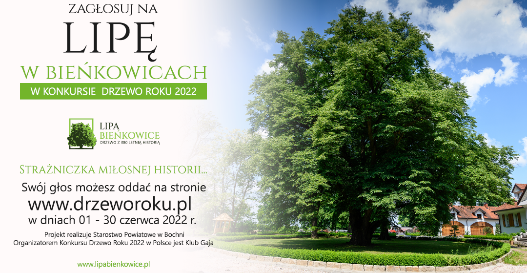 Lipa z Bieńkowic w Konkursie Drzewo Roku 2022