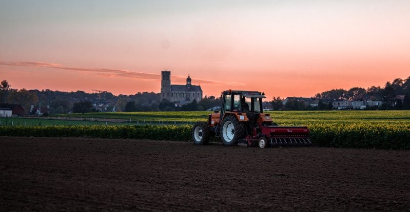 Restrukturyzacja małych gospodarstw