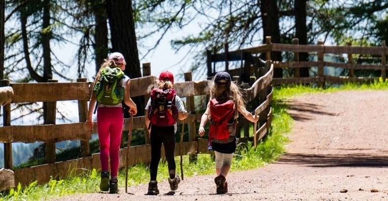 Rozstrzygnięto otwarty konkurs ofert na realizację zadań publicznych Województwa Małopolskiego