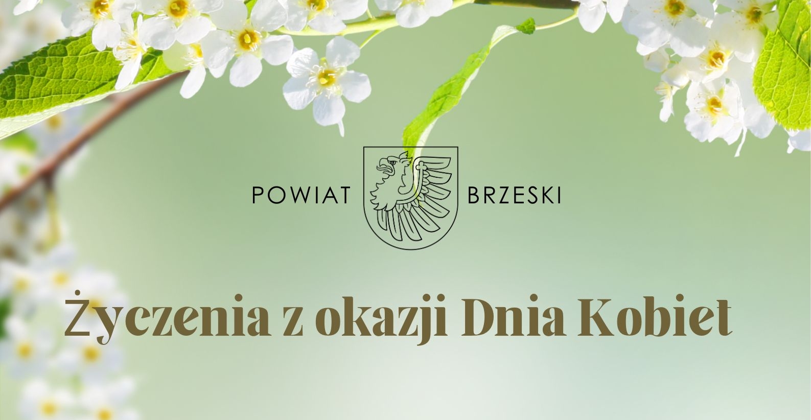Życzenia z okazji Dnia Kobiet