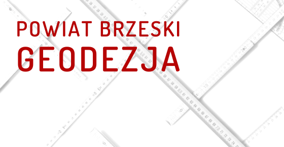 KOMUNIKAT - E-usługi w informacji przestrzennej