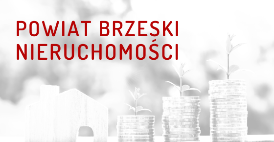 Ogłoszenie Starosty Brzeskiego o II przetargu pisemnym nieograniczonym na sprzedaż nieruchomości Skarbu Państwa