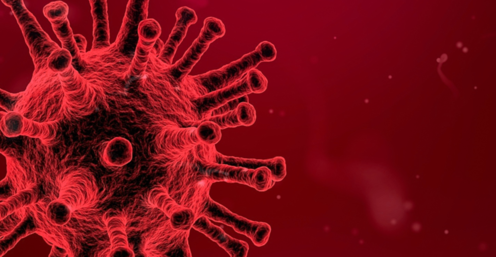 KOMUNIKAT dotyczący raportowania sytuacji epidemiologicznej w powiecie brzeskim