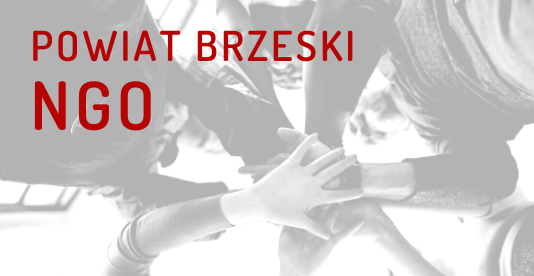 Wyniki otwartego konkursu ofert na realizację zadań publicznych