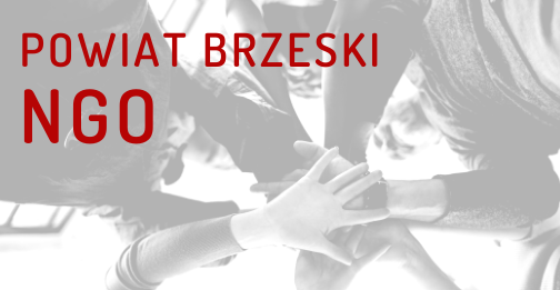 Sprawozdanie z przebiegu konsultacji dotyczących współpracy Powiatu Brzeskiego z NGO
