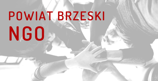 Otwarty konkurs ofert dla NGO