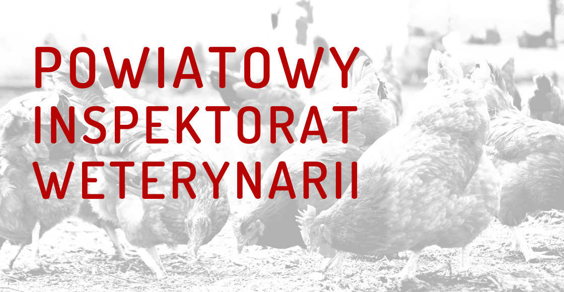 OGŁOSZENIE ws. zjadliwej grypy ptaków