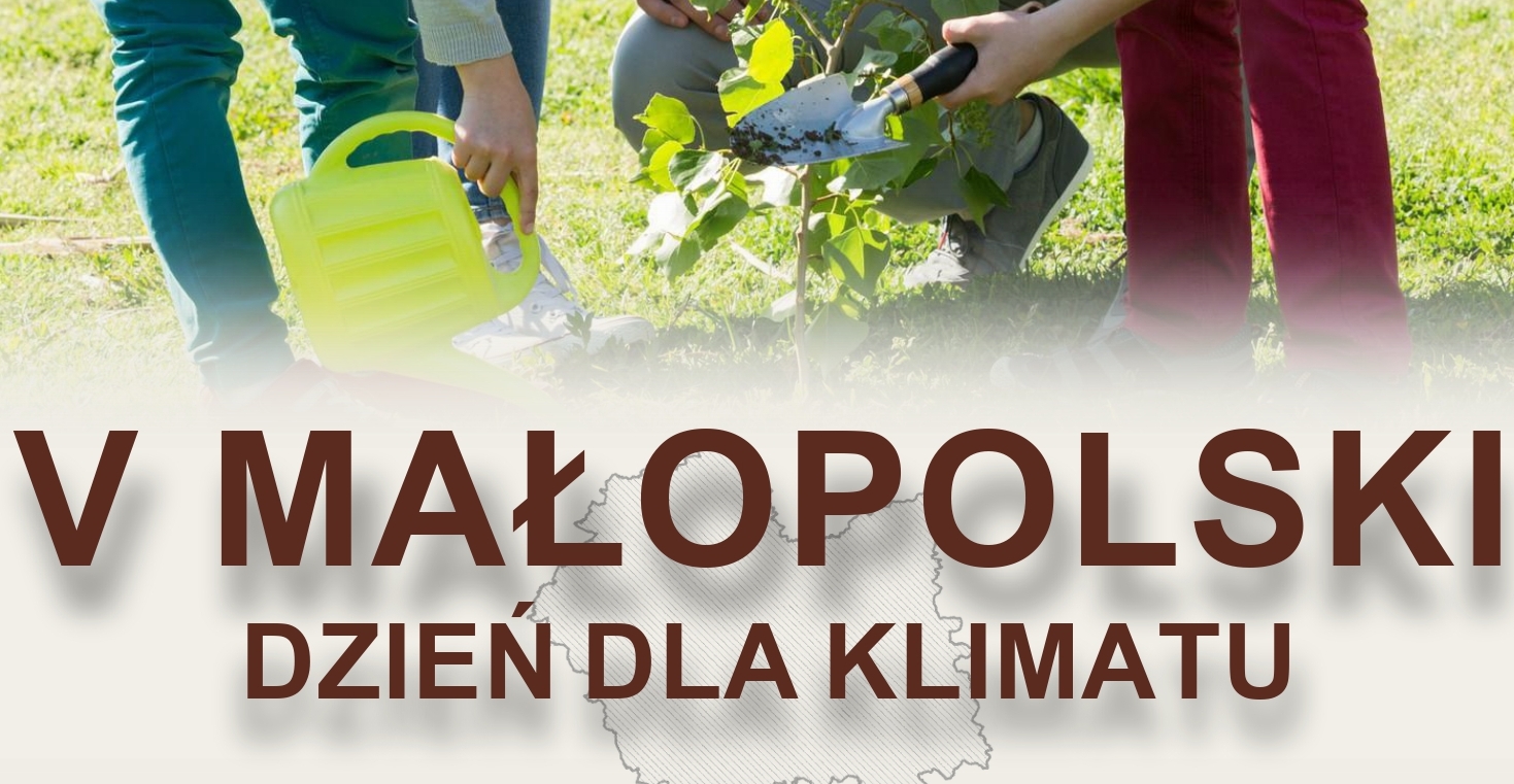 W całej Małopolsce znów będziemy sadzić drzewa