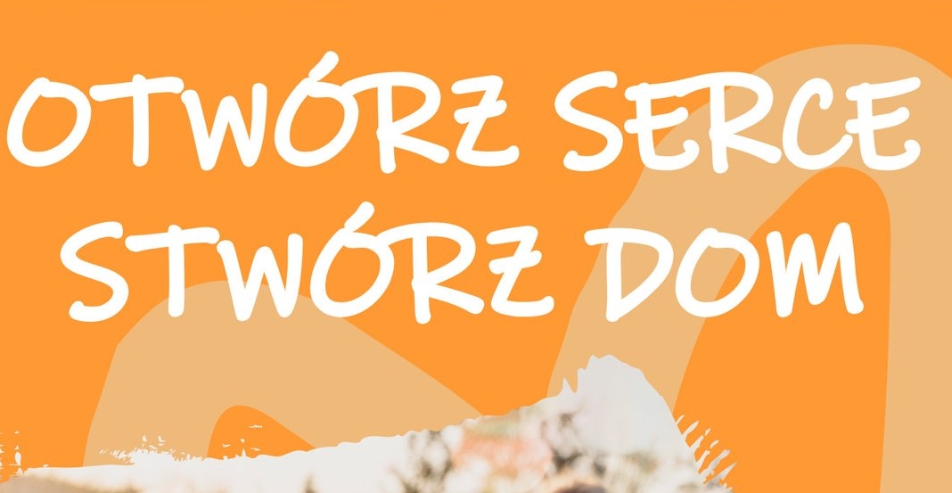 Zostań rodziną zastępczą