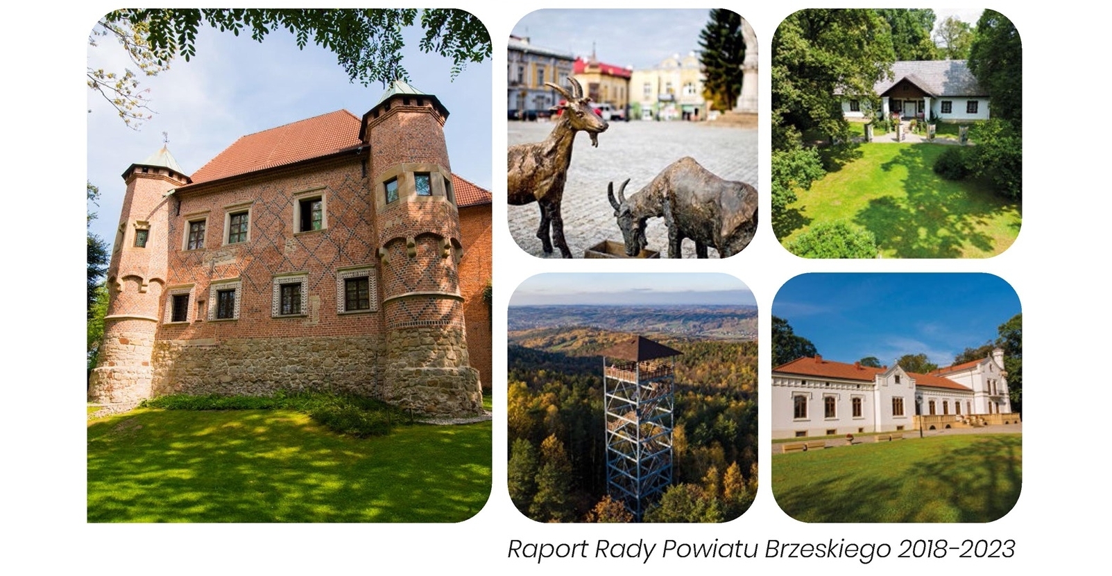 Raport Rady Powiatu Brzeskiego 2018-2023