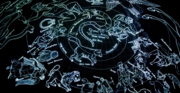 Ilu uczniów poleci na Marsa?