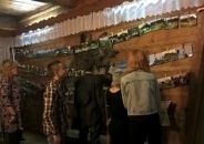 Vesna Slideshow Party na zakończenie projektu 