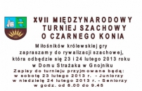 XVII Międzynarodowy Turniej Szachowy o Czarnego Konia