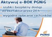 Oferta PGNiG