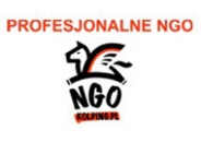 Profesjonalne NGO 