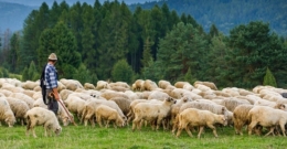 Małopolski wypas kulturowy po raz piąty