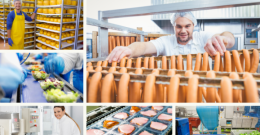 Wsparcie dla przetwórstwa produktów rolnych