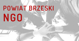 Sprawozdanie z przebiegu konsultacji dotyczących „Programu współpracy Powiatu Brzeskiego z organizacjami pozarządowymi oraz podmiotami, o których mowa w art. 3 ust. 3 ustawy z dnia 24 kwietnia 2003 r. o działalności pożytku publicznego i o wolontariacie"