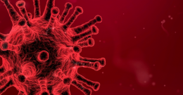 Koronawirus - informacje