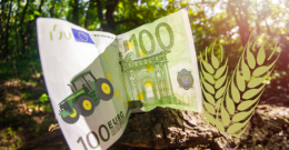 Harmonogram naborów wniosków w ramach PROW 2014-2020