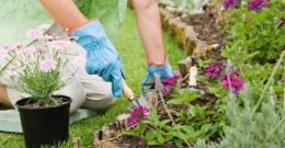 Zagospodarowanie przestrzeni zielonych wokół domu