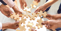 Nowa oferta wsparcia dla małopolskich organizacji pozarządowych