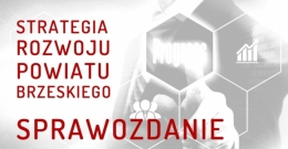 Sprawozdanie z przebiegu i wyniku konsultacji społecznych projektu strategii rozwoju powiatu brzeskiego na lata 2021-2030