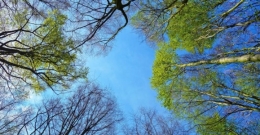 Konsultacje projektu Programu ochrony powietrza