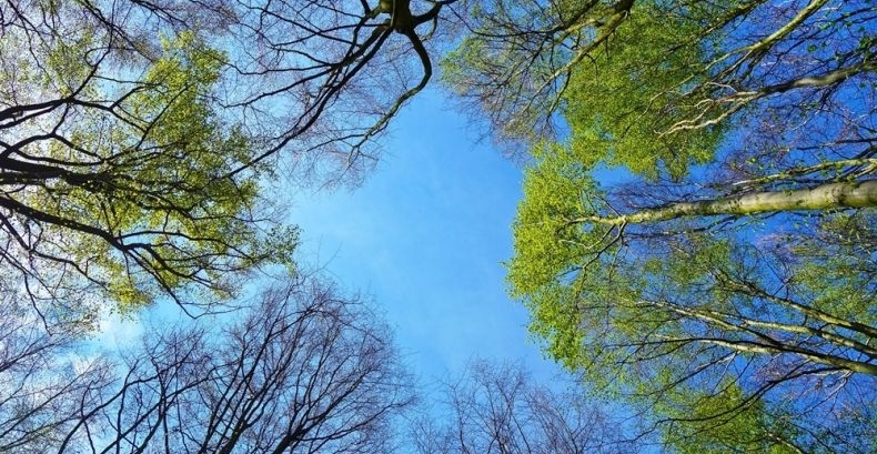 Konsultacje projektu Programu ochrony powietrza