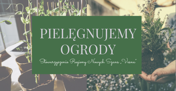 Pielęgnacja ogrodów - nowe usługi "Vesny"